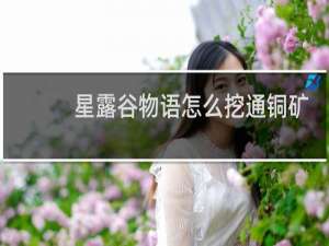 星露谷物语怎么挖通铜矿