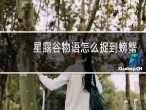 星露谷物语怎么捉到螃蟹