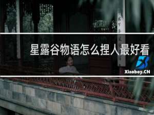 星露谷物语怎么捏人最好看
