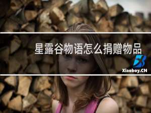 星露谷物语怎么捐赠物品