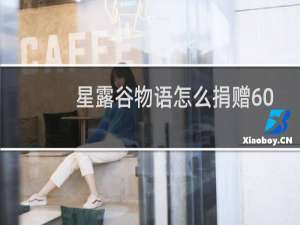 星露谷物语怎么捐赠60