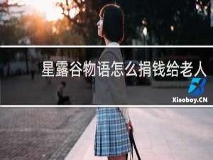 星露谷物语怎么捐钱给老人