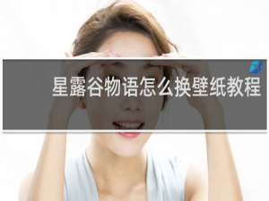 星露谷物语怎么换壁纸教程