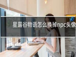 星露谷物语怎么换掉npc头像