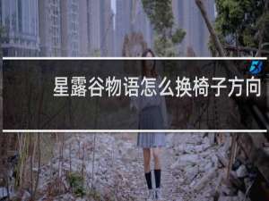 星露谷物语怎么换椅子方向