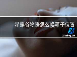 星露谷物语怎么换箱子位置