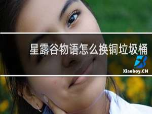 星露谷物语怎么换铜垃圾桶