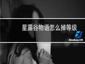 星露谷物语怎么掉等级