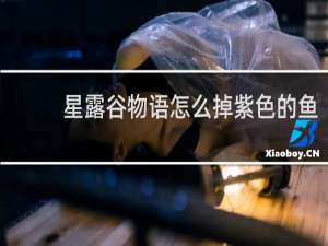 星露谷物语怎么掉紫色的鱼