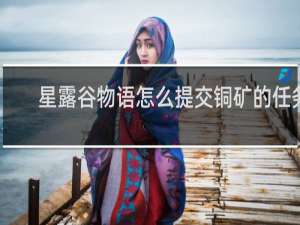 星露谷物语怎么提交铜矿的任务
