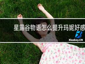 星露谷物语怎么提升玛妮好感