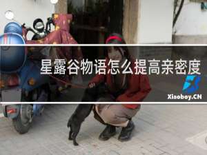 星露谷物语怎么提高亲密度