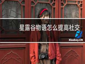 星露谷物语怎么提高社交