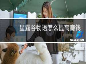 星露谷物语怎么提高赚钱