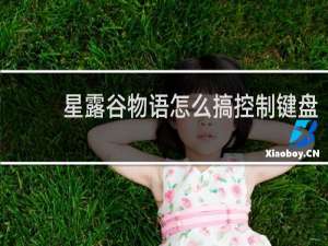 星露谷物语怎么搞控制键盘