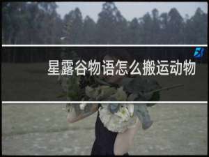星露谷物语怎么搬运动物