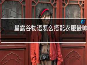 星露谷物语怎么搭配衣服最帅