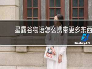 星露谷物语怎么携带更多东西