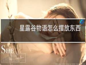 星露谷物语怎么摆放东西