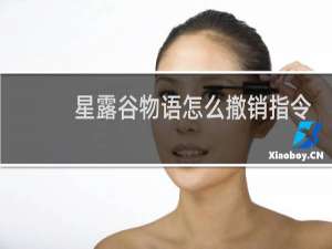 星露谷物语怎么撤销指令