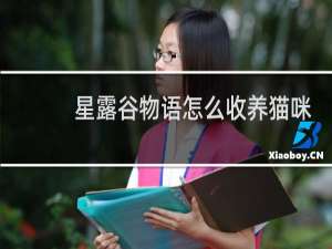 星露谷物语怎么收养猫咪