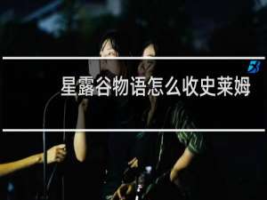 星露谷物语怎么收史莱姆