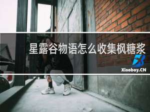 星露谷物语怎么收集枫糖浆