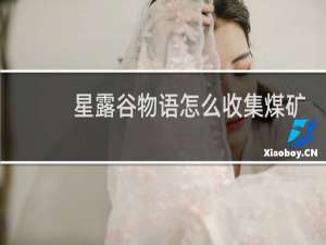 星露谷物语怎么收集煤矿