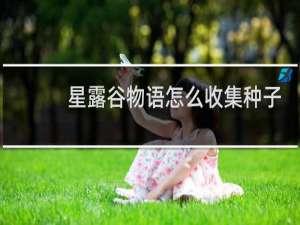 星露谷物语怎么收集种子