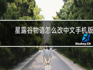 星露谷物语怎么改中文手机版
