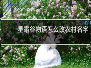 星露谷物语怎么改农村名字