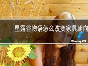 星露谷物语怎么改变家具朝向