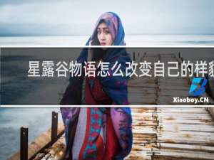 星露谷物语怎么改变自己的样貌