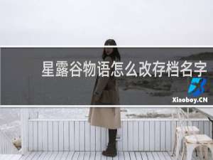 星露谷物语怎么改存档名字