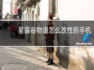 星露谷物语怎么改性别手机