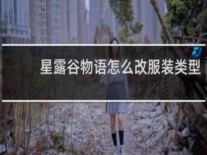星露谷物语怎么改服装类型