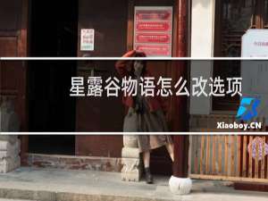 星露谷物语怎么改选项