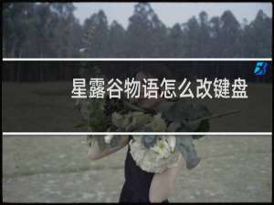 星露谷物语怎么改键盘