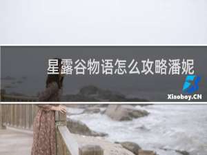 星露谷物语怎么攻略潘妮