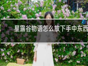 星露谷物语怎么放下手中东西