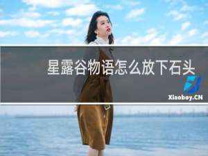 星露谷物语怎么放下石头