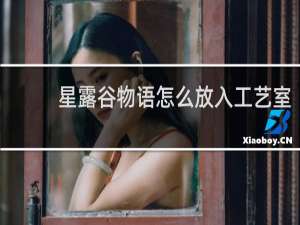 星露谷物语怎么放入工艺室