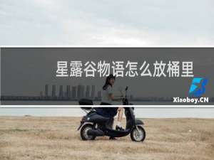 星露谷物语怎么放桶里