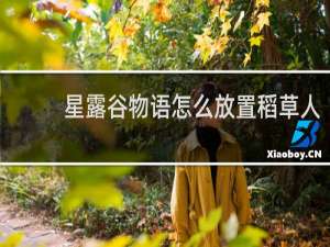 星露谷物语怎么放置稻草人