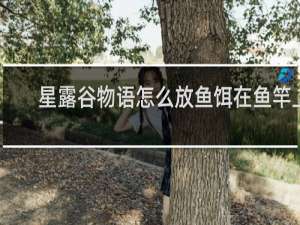 星露谷物语怎么放鱼饵在鱼竿上