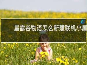 星露谷物语怎么新建联机小屋