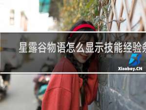 星露谷物语怎么显示技能经验条