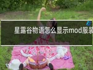 星露谷物语怎么显示mod服装