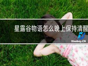 星露谷物语怎么晚上保持清醒