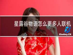 星露谷物语怎么更多人联机